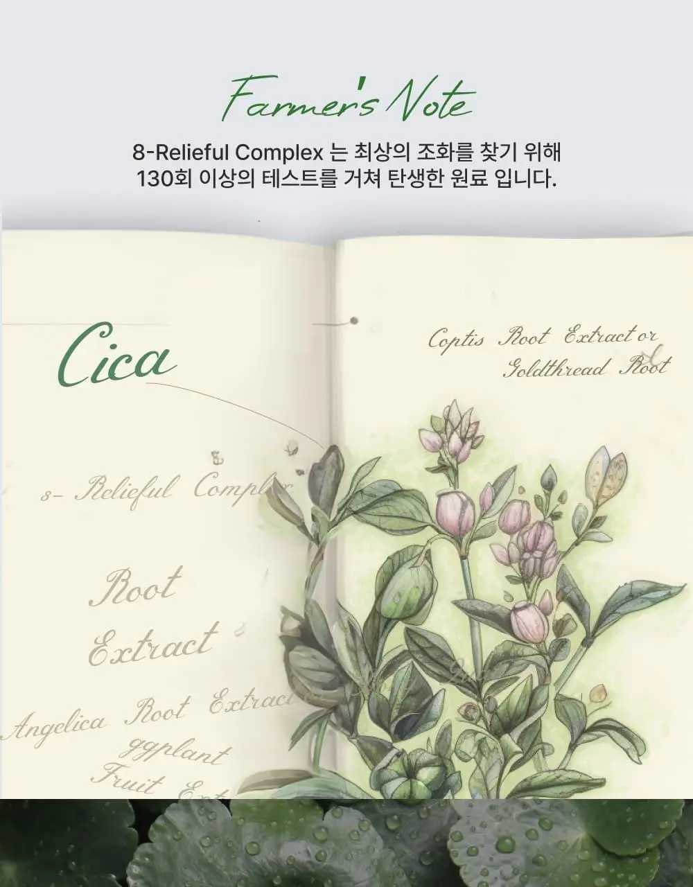 [김진경PICK/화해1위] 땡큐파머 피토 릴리풀 시카 약산성 젤클렌저 120ml 상세페이지 28